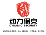 Dynamic Security logo
